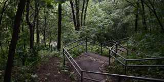 Charming 1 Bedroom next to Swede Hollow Park! Gallery 23