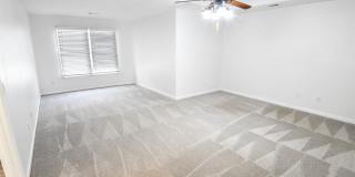 1865 Oak Tree Hollow Gallery 17