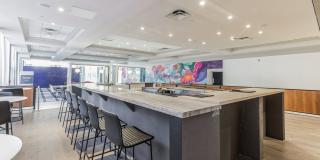 Vivo Living Baltimore Gallery 14