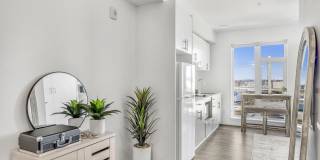 Koz at the Dome Gallery 7