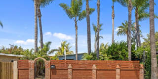 721 Palms Gallery 37