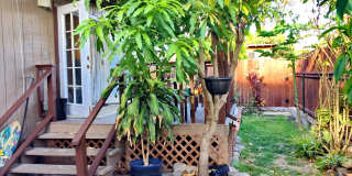 Remodeled Furnished 2 bed / 2 Bath Ohana in Waiehu - Includes Most Utilities Gallery 21