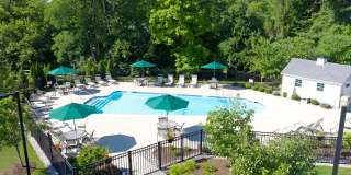 Hampshire Gallery 17