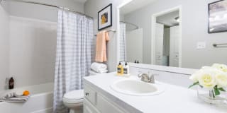 Northgreen at Carrollwood Gallery 12