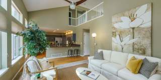 Gorgeous 5BR, 3.5BA, backs to trail, great deck, finished basement, more! Gallery 1