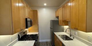 The Palms On Seminary Gallery 1