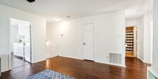 39 Longleaf Coral Gallery 31