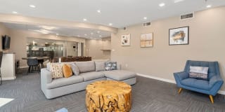Sofi Parc Grove Gallery 19