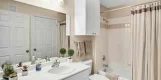 Springfield Apartments Gallery 15