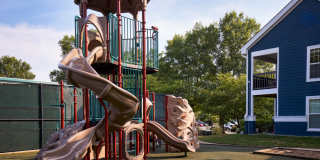 Lakeside Apartments Gallery 85