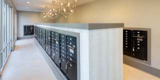 Vine North Hills Gallery 31