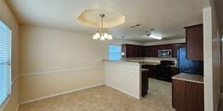 AVAILABLE NOW! Gallery 6