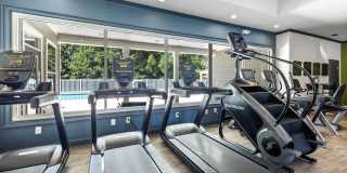 Olympus Fenwick Gallery 30