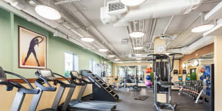 Regency Plaza Gallery 17