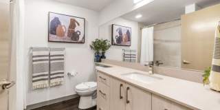 110 Roy Gallery 23