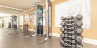 River Ridge Apartment Homes Gallery 10