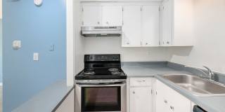 The Chestnut Gallery 8