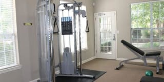 The Legends Gallery 18