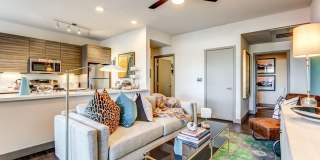 The Douglas at Stonelake Gallery 12