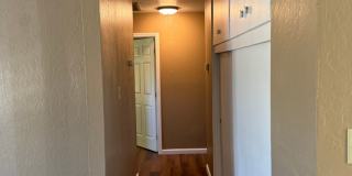 3 BR/1BA | Newly Renovated Single Family Home | 1-Car Covered Parking | Large backyard Gallery 4