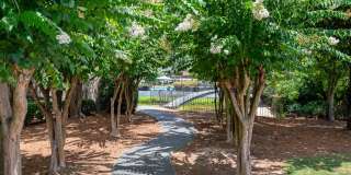 The Harrison Gallery 26