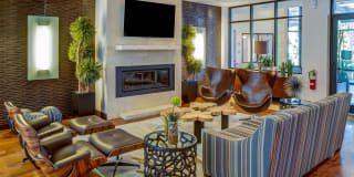 Coldwater Gallery 15