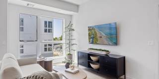 Haven + Arrow Gallery 52