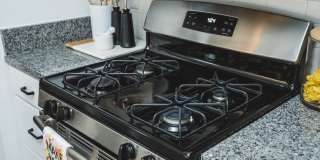 Alister Lake Lynn Gallery 6