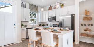 Yardly Eden Gallery 3