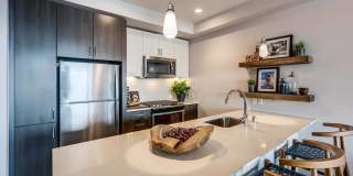 Windsor Queen Anne Gallery 11