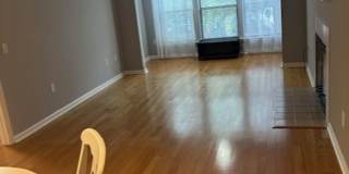 SOUTH END - FOREST COVE Gallery 1