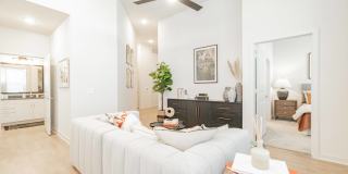 Elan Denton Gallery 4