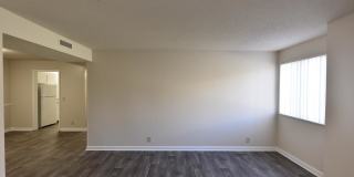 Noah's Landing Gallery 21