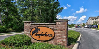 Steeplechase at Parkview Gallery 29