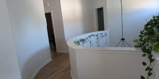 2729 Mirasol Loop Gallery 20
