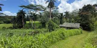 Remote riverside Kilauea cottage. Gallery 1