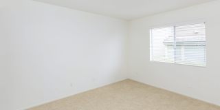 Windrose Apartments Gallery 12