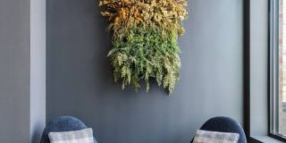 One at the Peninsula One at the Peninsula Gallery 6