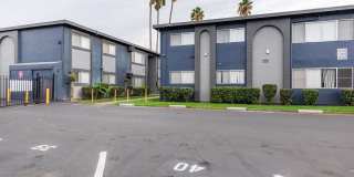 Prospera Village Gallery 38