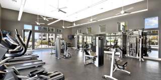 Agora Stone Oak Gallery 10