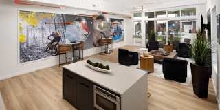 Nova West Gallery 16