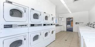 Palisade Park Gallery 53