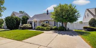 84 Cornflower Gallery 1