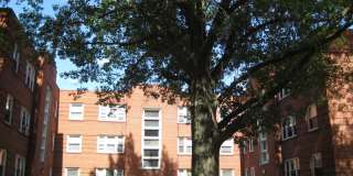 Charming 1-Bedroom Apartment at Jamieson Apartments – Updated & Cozy Living in St. Francis Neighborhood! Gallery 21