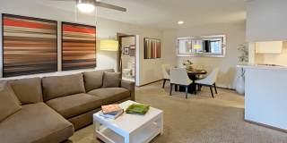 Tanglewood Gallery 11