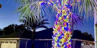 517 Palm Avenue Gallery 30