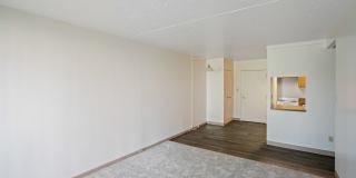 Independence Place Gallery 21