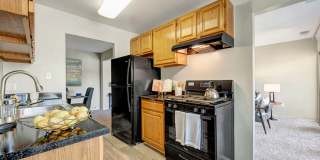 Cinnamon Run at Peppertree Farm Gallery 7