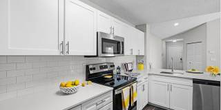 Sabal Palm at Lake Buena Vista Gallery 6