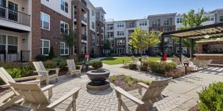 Alta Wren Gallery 36